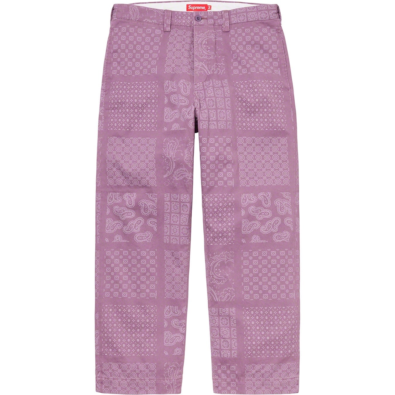 Paisley Grid Chino Pant view 10